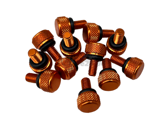 Felgensicherungsschraube M5 mit O-Ring - 12 Stück (orange)