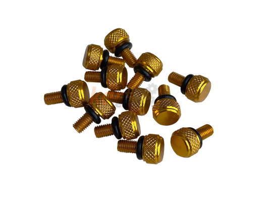 Goldene Felgensicherungsschrauben mit O-Ring (Größe: M5) zur Befestigung in Magnesium- oder Aluminium Kartfelgen