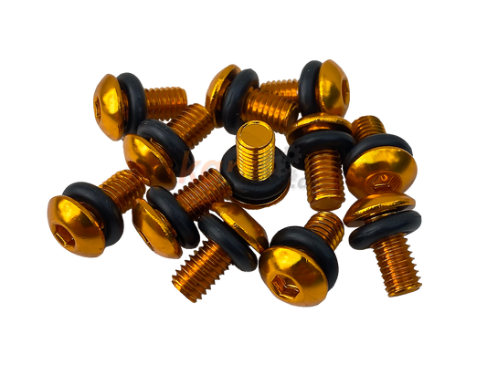 Felgensicherungsschraube M5 mit O-Ring - 12 Stück (gold)